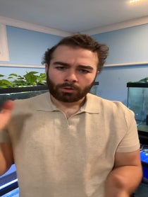 Poster for Other video from Luke’s Goldies