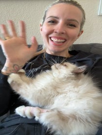 Poster for Birthday video from Kitten Lady