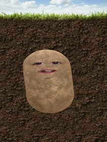 Poster for Other video from Zebadiah Davis