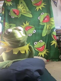 Poster for Sing a song video from KermitSings