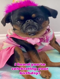 Poster for Birthday video from Simone the Griff