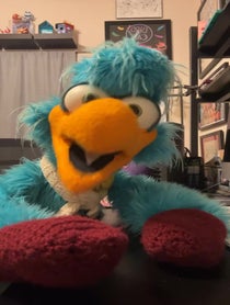 Poster for Other video from Bird Call