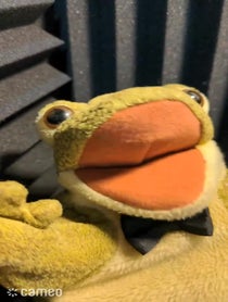 Poster for Intro video video from Ribberto the Frog
