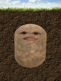 Poster for Birthday video from Zebadiah Davis