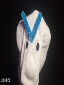 Poster for Intro video video from Pissed Off Sock
