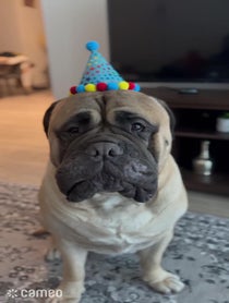 Poster for Intro video video from Big Meech