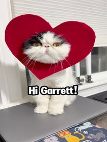 Poster for Valentine's Day video from Walter Bishop the Cat