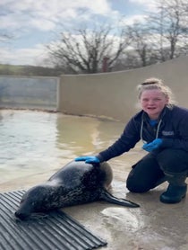 Poster for Birthday video from The Cornish Seal Sanctuary