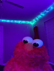 Poster for Valentine's Day video from Lil Elmo