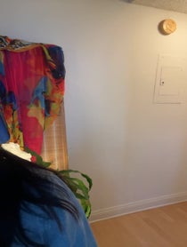 Poster for Birthday video from Dana DeLorenzo