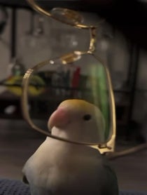 Poster for Gift video from Prince the Bird & Tamia