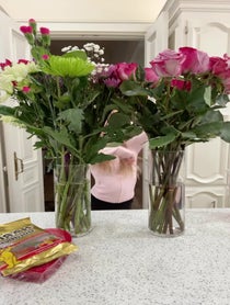 Poster for Valentine's Day video from Bentley Williams