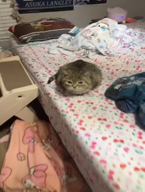 Poster for Valentine's Day video from Melody & Jiggy