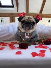 Poster for Other video from Puggy Smalls