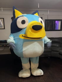 Poster for Other video from Bluey or Bingo