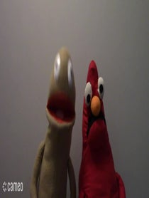 Poster for Intro video video from Wilkins and Wontkins