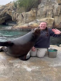 Poster for Birthday video from Sea Lions at Houston Zoo