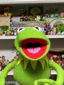 Poster for Intro video video from The Muppets (Kermit, Fozzie, Gonzo) IMPERSONATION