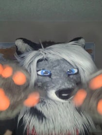 Poster for Birthday video from Cassidy Civet