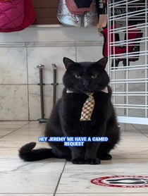 Poster for Pep Talk video from Jeremy The Manager