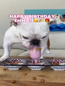 Poster for Birthday video from Pancake 🥞