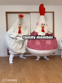 Poster for Intro video video from ChickenMom きぐるみ母さん