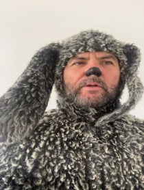Poster for Other video from Wilfred the dog