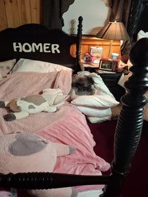 Poster for Birthday video from Homerthepig