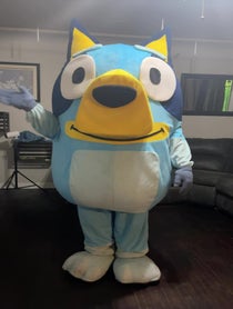 Poster for Birthday video from Bluey or Bingo