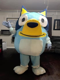 Poster for Birthday video from Bluey or Bingo