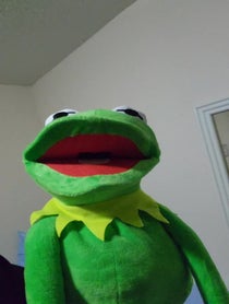 Poster for Other video from Kermit