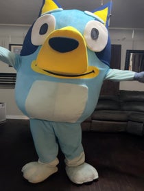 Poster for Birthday video from Bluey or Bingo