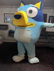 Poster for Birthday video from Bluey or Bingo