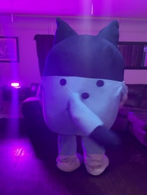 Poster for Birthday video from Bluey or Bingo