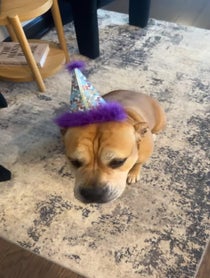 Poster for Birthday video from Tinker_is_judging_you