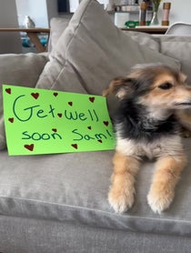 Poster for Get well soon video from Ziggy the Mann