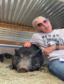 Poster for Birthday video from Better Piggies Rescue