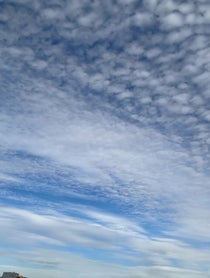 Poster for Other video from Andrew Francis