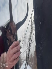 Poster for Intro video video from Krampus Of Pennsylvania