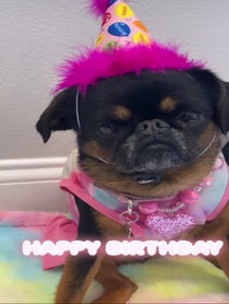 Poster for Birthday video from Simone the Griff