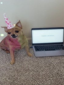Poster for Birthday video from Ted AKA ted2cool4u