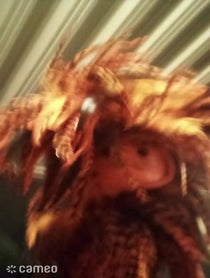 Poster for Intro video video from puppet_show_at_the_end_of_time