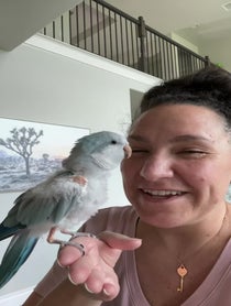 Poster for Birthday video from The Green Bird Brigade