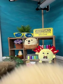 Poster for Birthday video from The Pacific Pals