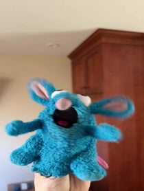 Poster for Birthday video from Crisp Rat