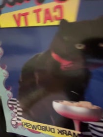 Poster for Mother's Day video from Nick Bakay