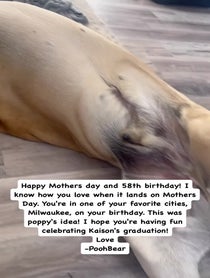 Poster for Birthday video from PoohBear The Mastiff