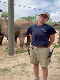 Poster for Mother's Day video from Elephants at Houston Zoo
