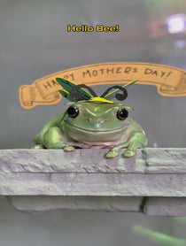 Poster for Mother's Day video from The Frogs & Tay