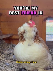 Poster for Birthday video from Chicken Happy Hour